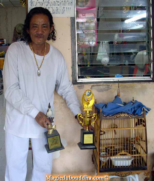 Prix de concours d'oiseaux chanteurs en Thailande.
